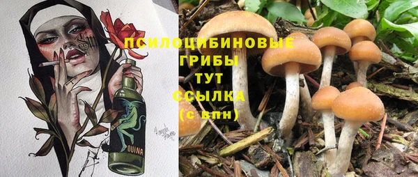 молекула духа Баксан