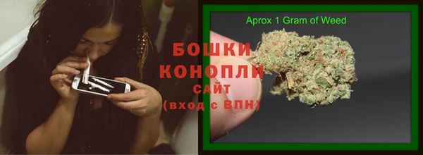 стаф Аркадак