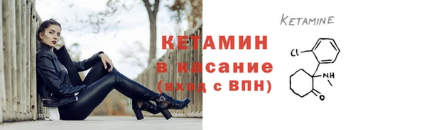 прущие грибы Балахна