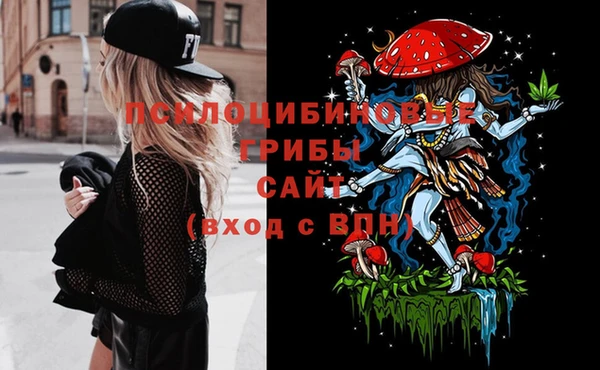 прущие грибы Балахна