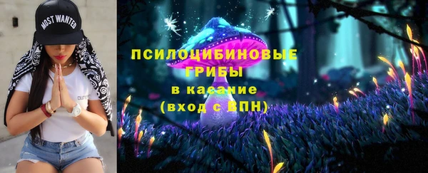 прущие грибы Балахна